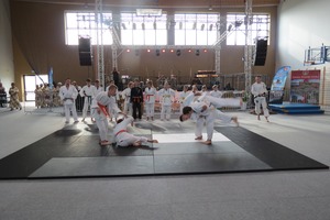 Pokaz walk ju-jitsu i judo (photo)